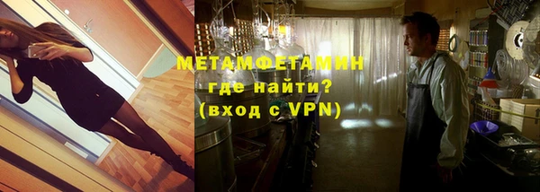 индика Богданович