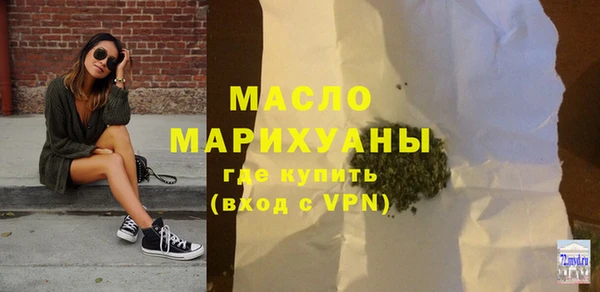 индика Богданович