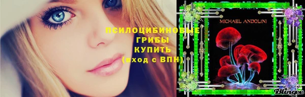 индика Богданович