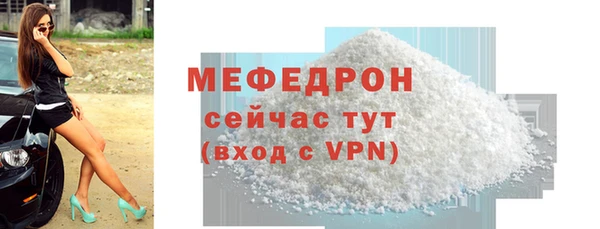 индика Богданович