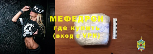 индика Богданович