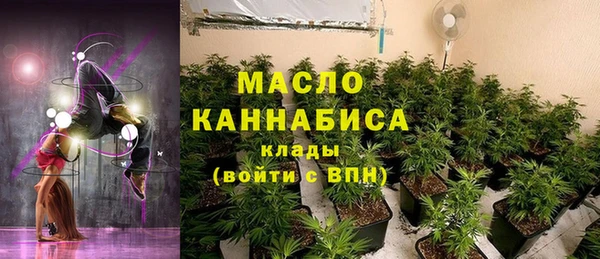 индика Богданович