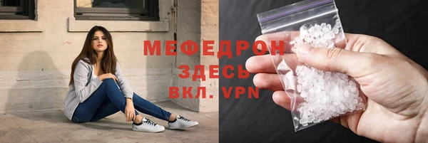 индика Богданович