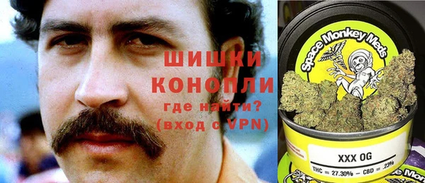 индика Богданович