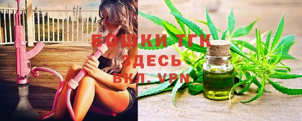 индика Богданович