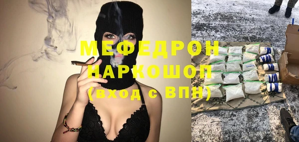 индика Богданович